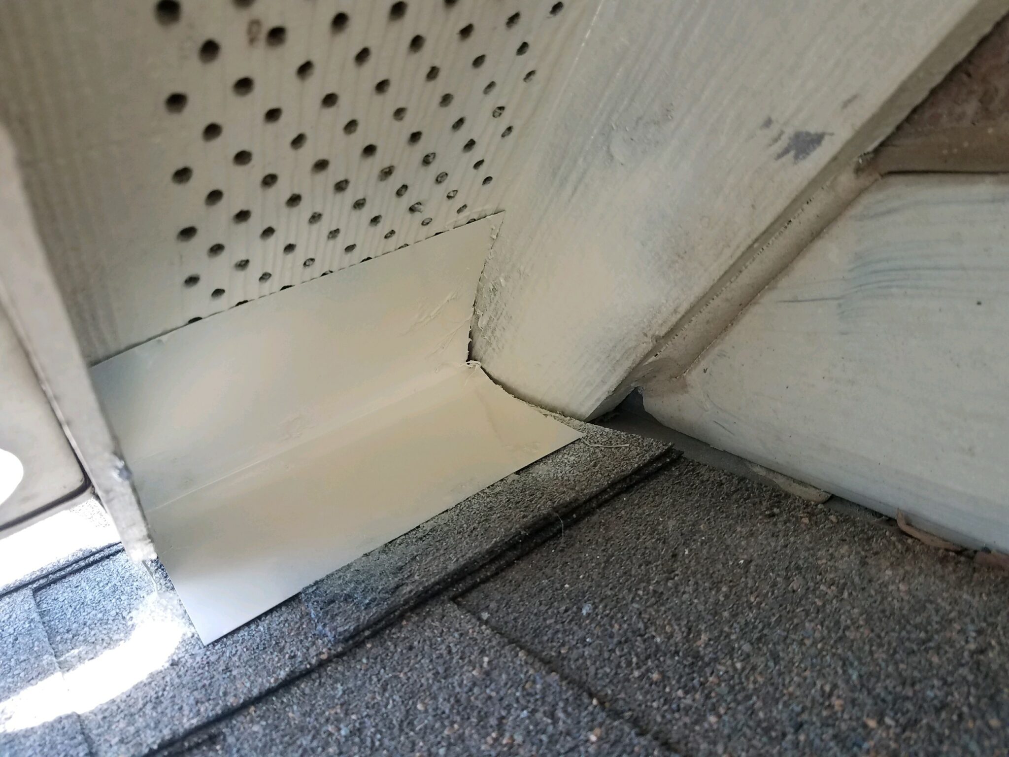 Is it Squirrels or could it be Rats? - Alcon Pest Control Services