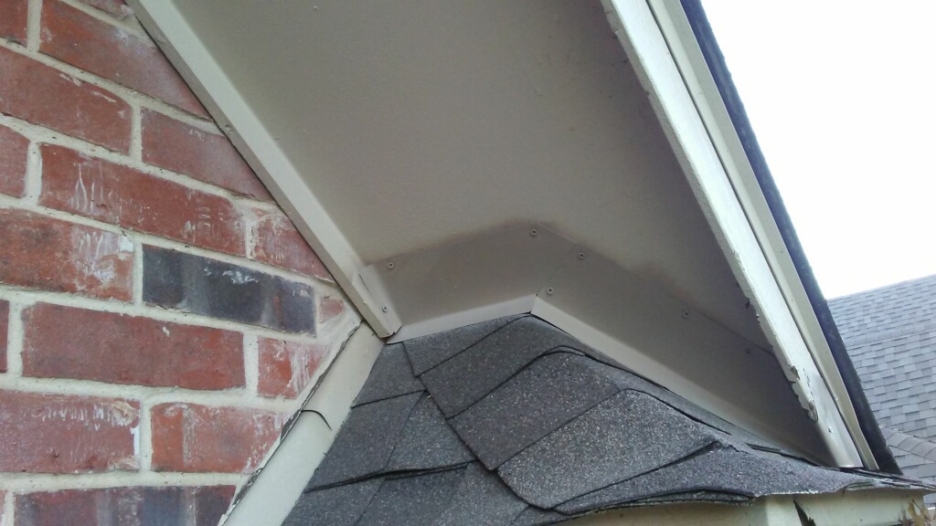 Look Out For Squirrels, Mice & Rats - Alcon Services | Pest & Termite ...